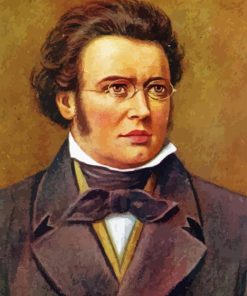 Portrait Of Franz Schubert Diamond Painting