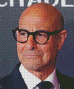 Stanley Tucci Actor Diamond Painting