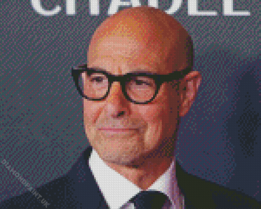 Stanley Tucci Actor Diamond Painting