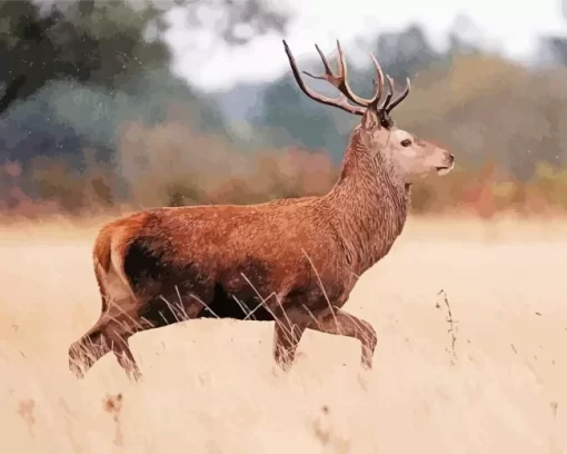 Barbary Stag Diamond Painting