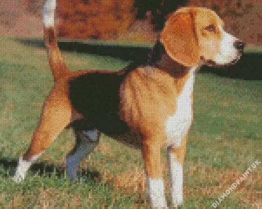 Beagle Hound Dog Diamond Painting