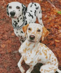 Black And Blonde Dalmatians Diamond Painting