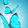 Blue And Black Butterflies Diamond Painting