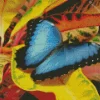 Blue And Black Butterfly Diamond Painting