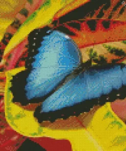 Blue And Black Butterfly Diamond Painting