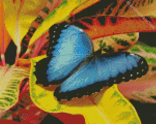 Blue And Black Butterfly Diamond Painting