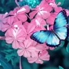 Blue And Black Butterfly On Pink Flowers Diamond Painting