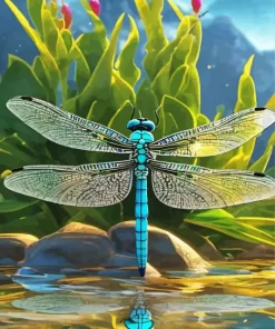 Blue And Black Dragonfly Diamond Painting