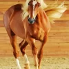 Brown Horse With Blond Hair Diamond Painting