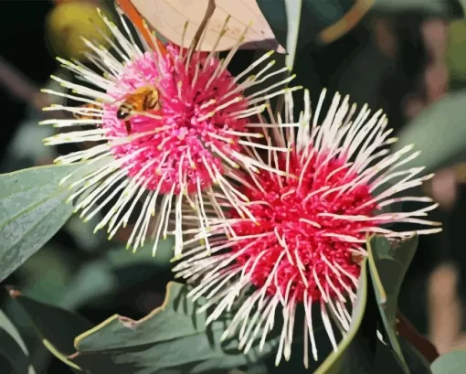 Hakea Plant Diamond Painting