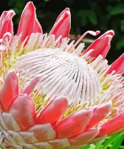 King Protea Diamond Painting