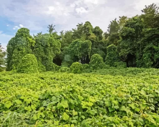 Kudzu Diamond Painting