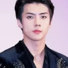 Oh Sehun Diamond Painting