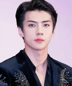 Oh Sehun Diamond Painting