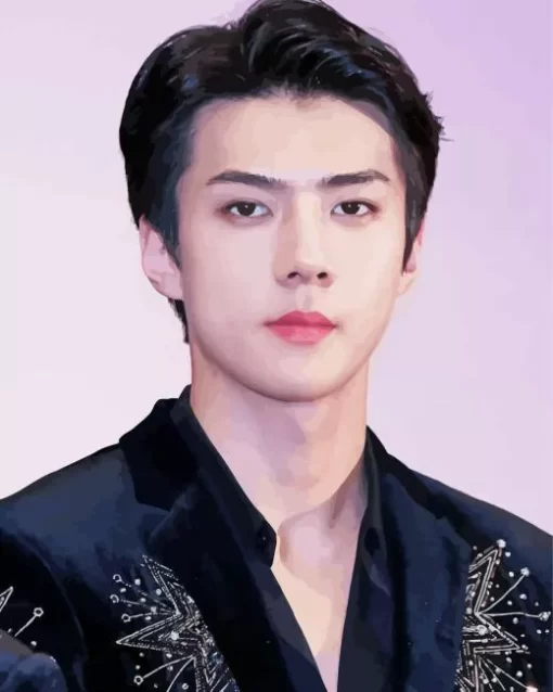 Oh Sehun Diamond Painting