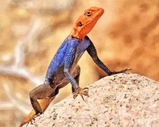 Orange Agama Diamond Painting