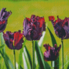 Parrot Tulips Flowers Diamond Painting