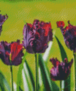 Parrot Tulips Flowers Diamond Painting