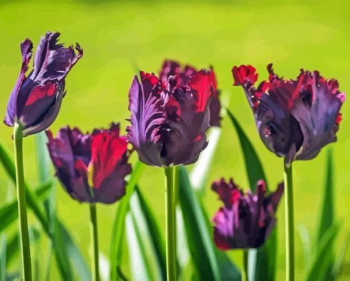 Parrot Tulips Flowers Diamond Painting