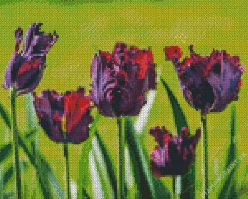 Parrot Tulips Flowers Diamond Painting