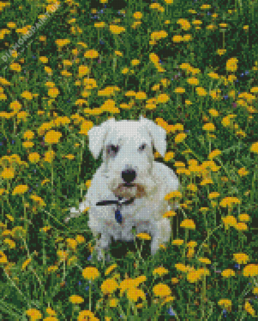 Sealyham Terrier In Flowers Field Diamond Painting