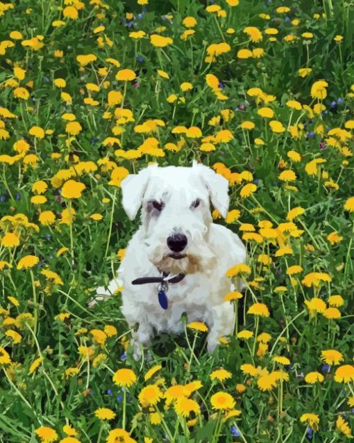 Sealyham Terrier In Flowers Field Diamond Painting