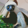 Sifaka Animal Diamond Painting