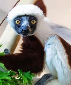 Sifaka Animal Diamond Painting