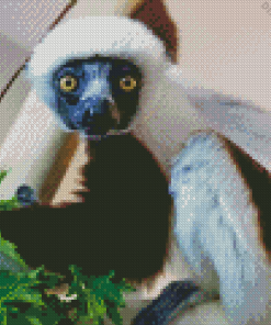 Sifaka Animal Diamond Painting