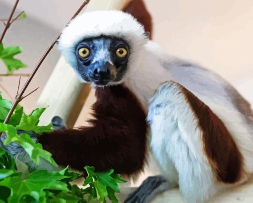 Sifaka Animal Diamond Painting