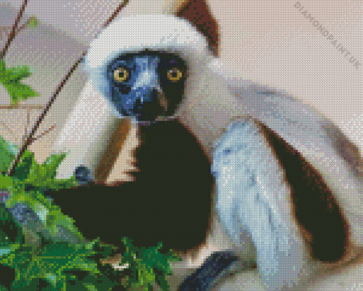 Sifaka Animal Diamond Painting