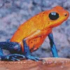 The Blue And Orange Frog Diamond Painting