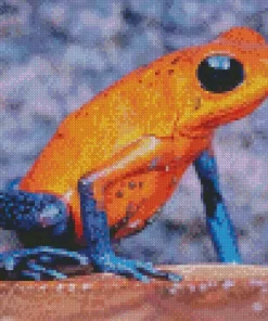 The Blue And Orange Frog Diamond Painting