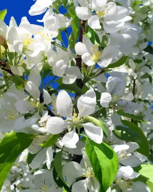 White Crabapple Diamond Painting