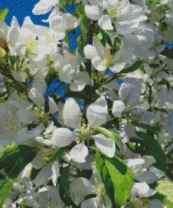 White Crabapple Diamond Painting