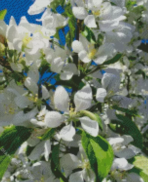 White Crabapple Diamond Painting