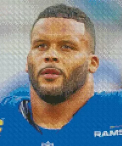 Aaron Donald Diamond Painting