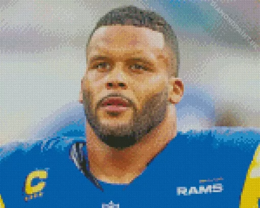 Aaron Donald Diamond Painting