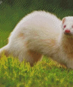 Aesthetic Ferret White Diamond Painting