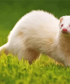 Aesthetic Ferret White Diamond Painting