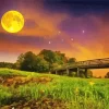 Aesthetic Full Moon Landscape Art Diamond Painting