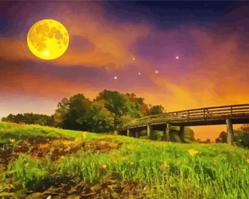 Aesthetic Full Moon Landscape Art Diamond Painting