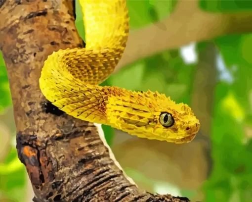 African Bush Viper Diamond Painting