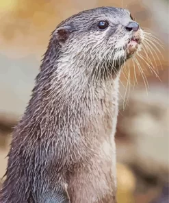 Asian Small Clawed Otter Diamond Painting