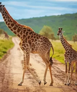 Baby And Mom Giraffe Diamond Painting