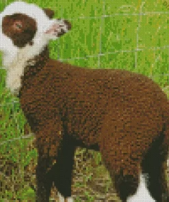 Baby Brown Lamb Diamond Painting