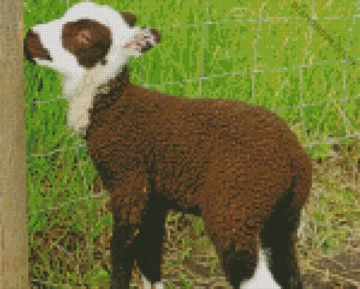 Baby Brown Lamb Diamond Painting