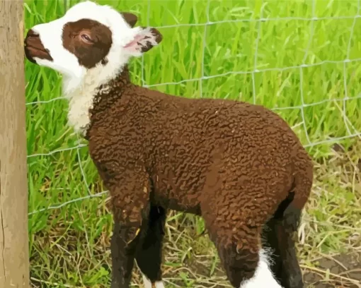 Baby Brown Lamb Diamond Painting