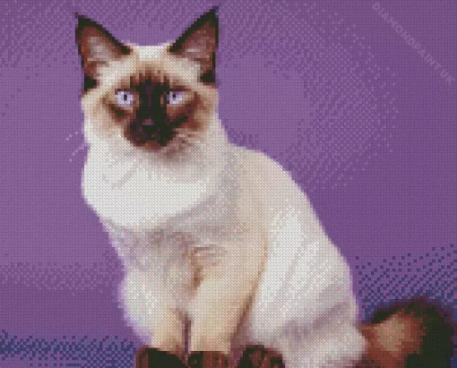 Balinese Cat Diamond Painting