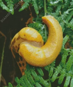 Banana Slug Diamond Painting